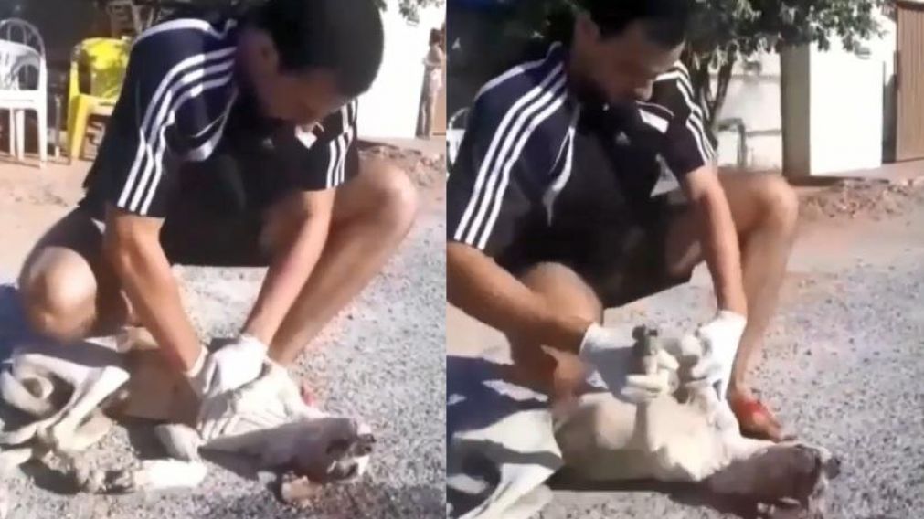 El emocionante video se viralizó en las redes sociales (Captura).