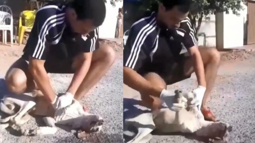 El emocionante video se viralizó en las redes sociales (Captura).