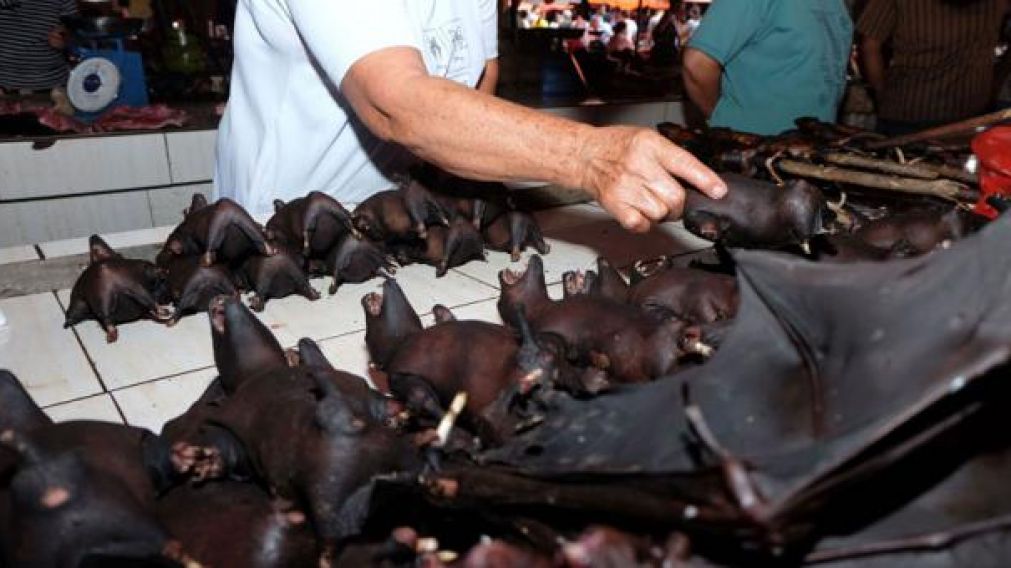 La venta de murciélagos como alimento era algo usual en China antes de la pandemia.