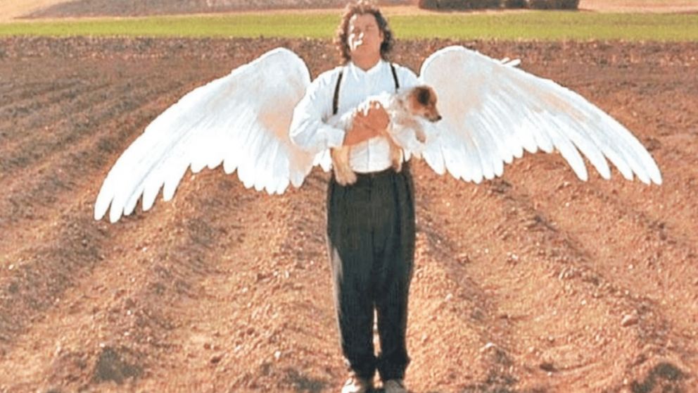 Experiencias: las criaturas redentoras