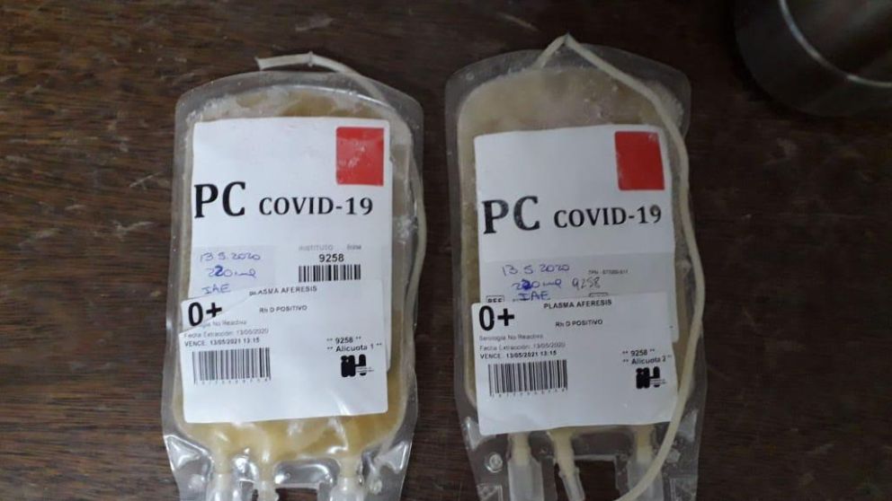 Aplican plasma para tratar pacientes con coronavirus.