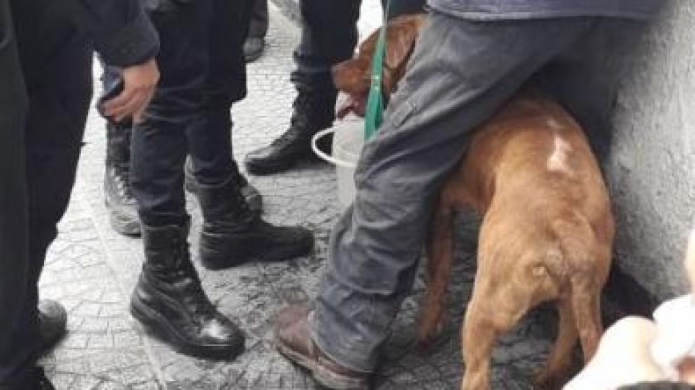 El sujeto fue denunciado por los vecinos y rápidamente la policía asistió al lugar (imagen ilustrativa).