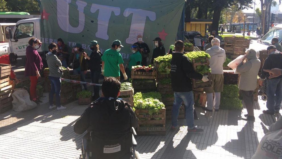 Verdurazo en Constitución: donaron miles de kilos de verduras para comedores.
