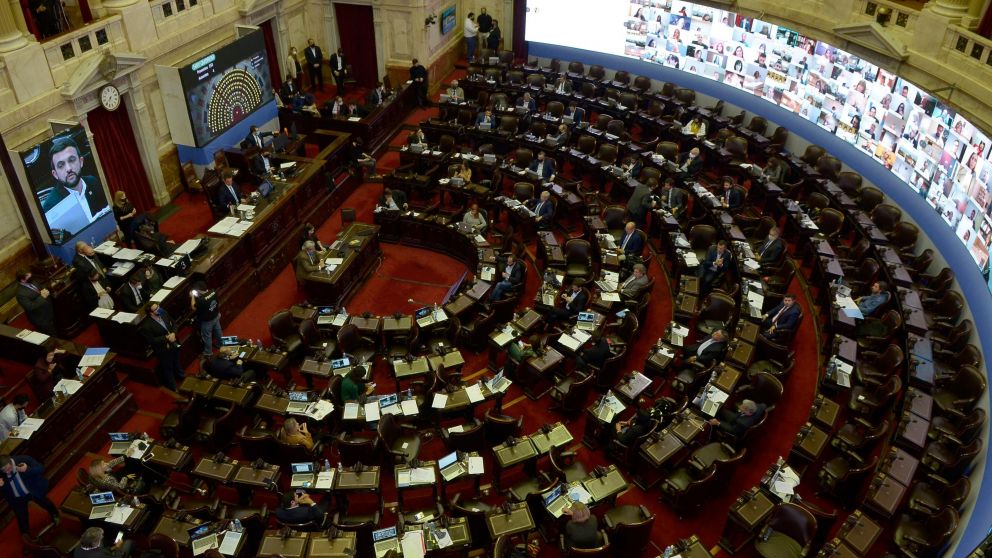 Diputados también estrenó las sesiones virtuales (Fernando Pérez Re/Crónica)