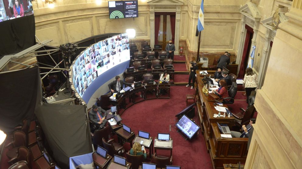 Una imagen de la histórica sesión en el Senado (Fernando Pérez Re/Crónica)