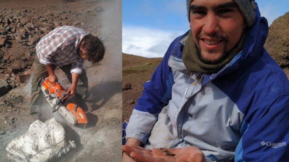 Se trata de un dinosaurio carnívoro de diez metros de longitud.