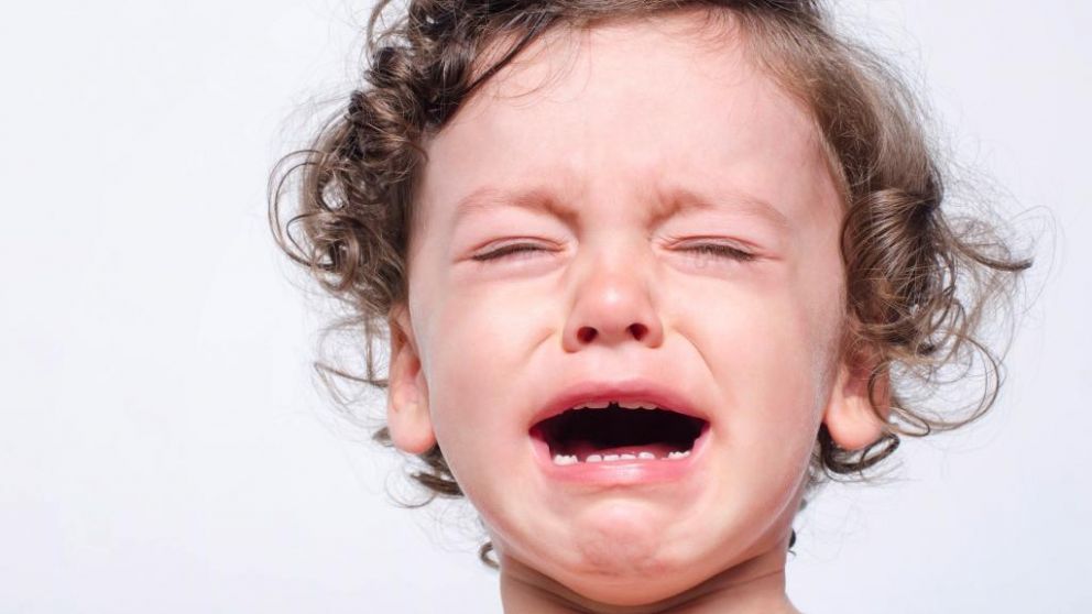 Buscan intensamente a la criatura. (Imagen ilustrativa)