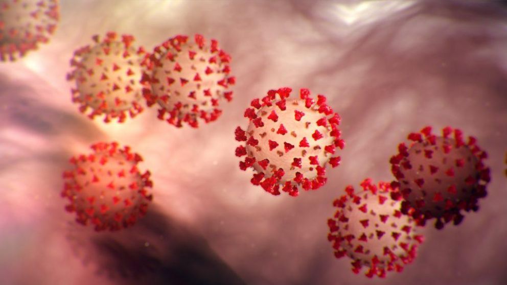 El coronavirus puede "quedarse con nosotros para siempre", aseguró un profesor de bioingeniería y bioinformática.