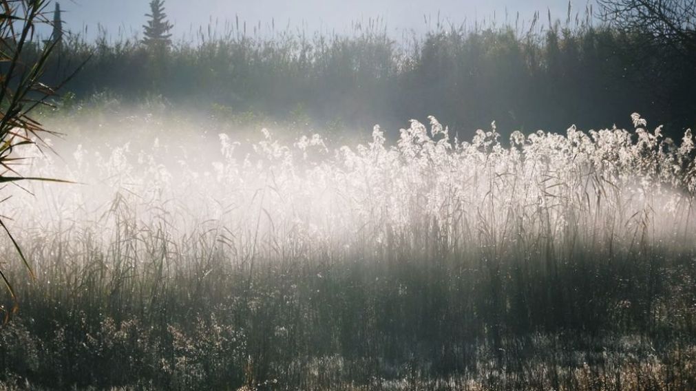 Santa Rosa sufrió la primera helada del año.