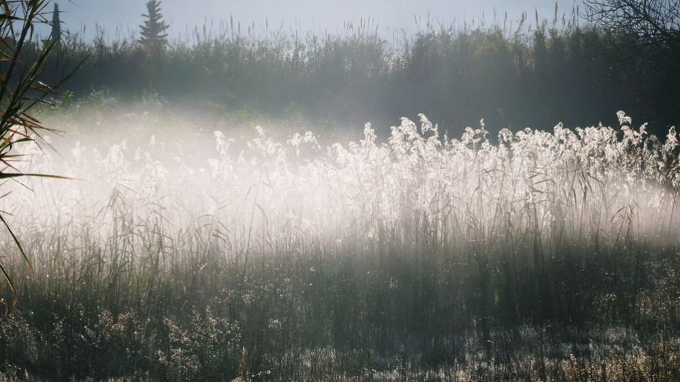 Santa Rosa sufrió la primera helada del año.
