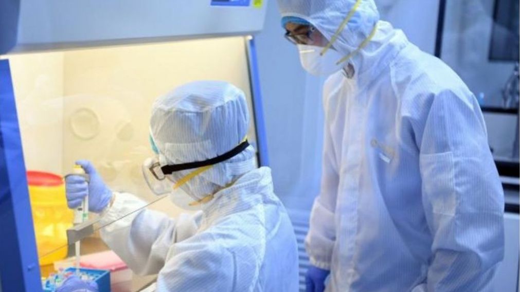 El mundo aguarda un cura para el virus COVID-19.