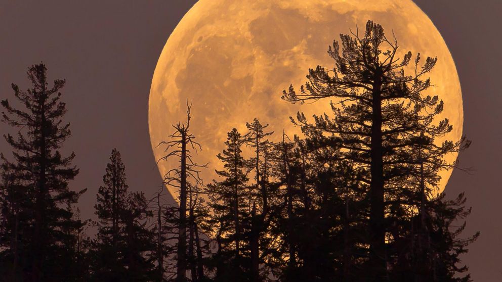 Se ver� m�s grande y brillante (Archivo).