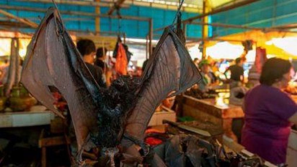 ADMITE QUE NO VOLVERÍA A PROBAR NADA EN LOS MERCADOS DE WUHAN.
