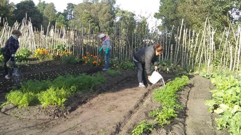 El comedor tiene una huerta propia (Gentileza La Capital).
