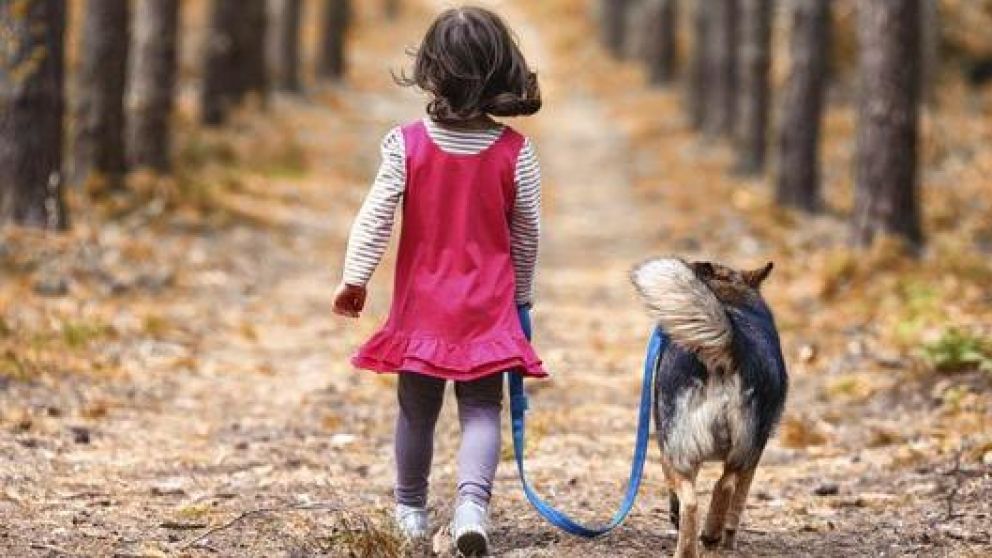 Los niños podrán salir de las casas: ¿qué recaudos tomar?