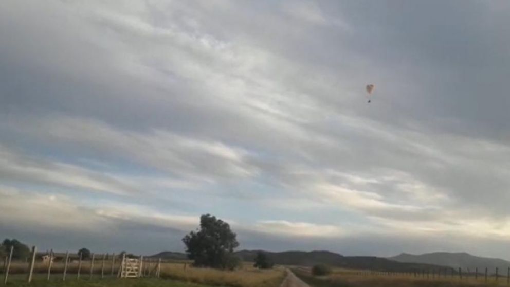 El hombre fue detenido apenas pisó tierra (Twitter).
