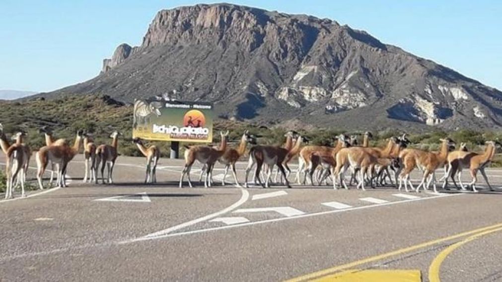 El parque donde aparecieron, se encuentra cerrado desde el 16 de marzo.