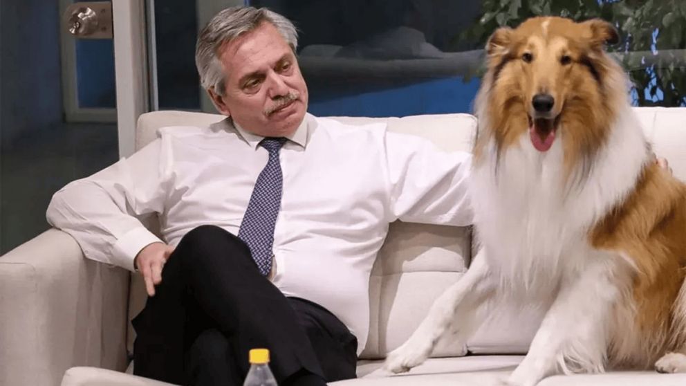 Murió Dylan, el perro de Alberto Fernández.