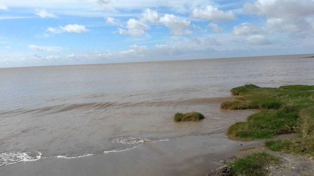 Pasan cosas extra�as en Punta Indio.