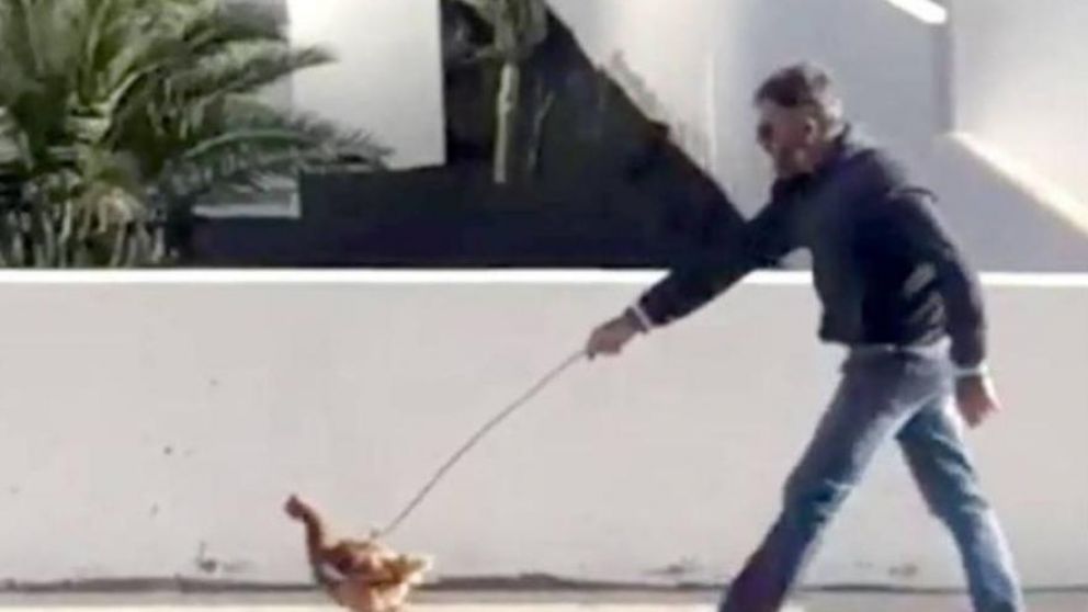 El hombre estaba en la calle paseando a su gallina con correa (captura video).