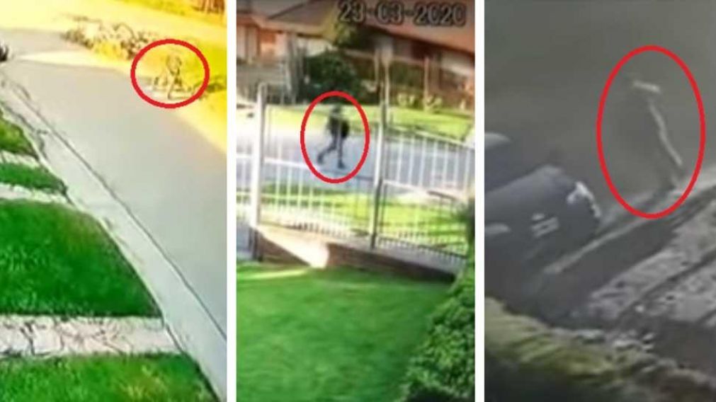 Estas son las capturas de las cámaras de seguridad que registraron el paseó del acusado de femicidio.