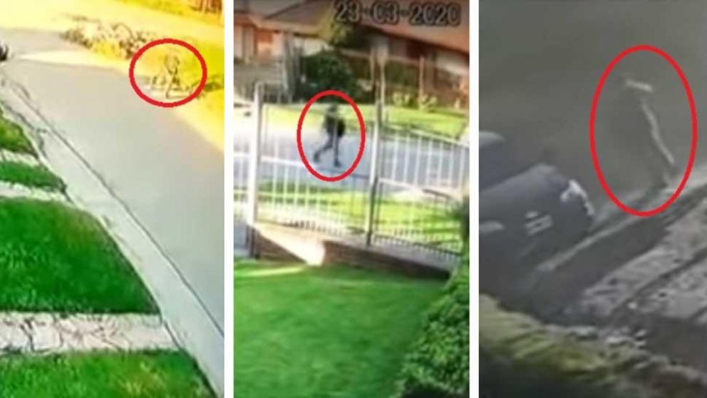 Estas son las capturas de las cámaras de seguridad que registraron el paseó del acusado de femicidio.