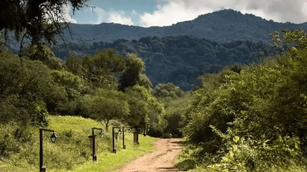 Un refugio natural donde la calma, la fauna silvestre y los colores del monte chaqueño crean una postal única del norte argentino.