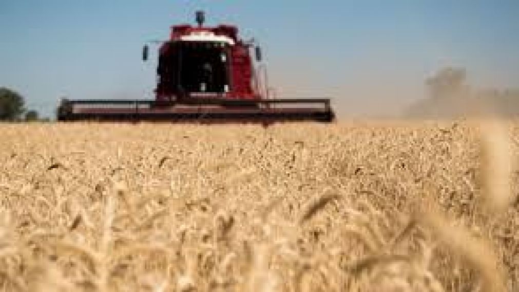 El campo analiza la posibilidad de regresar a los cortes mientras el gobierno estudia el aumento de las retenciones.