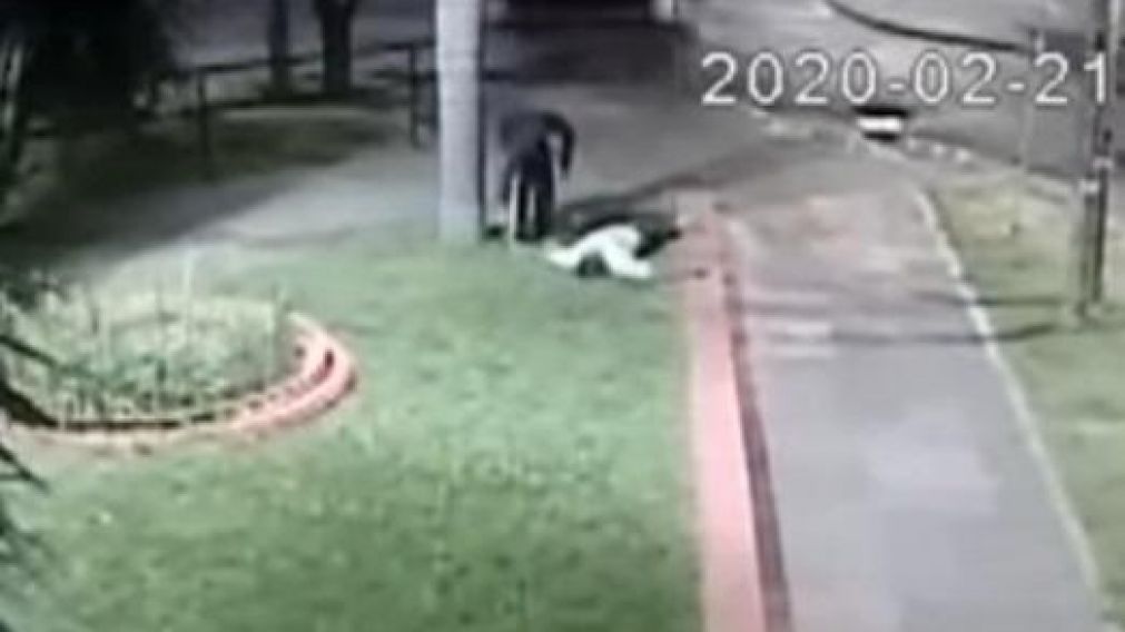 Impactante crimen en una plaza de Morón.