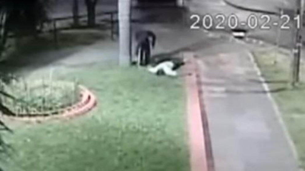 Impactante crimen en una plaza de Morón.