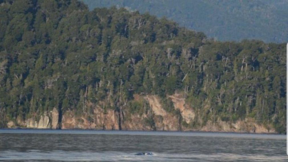La foto fue tomada por casualidad.