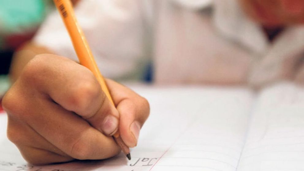 El suceso se viralizó en las redes (Captura).