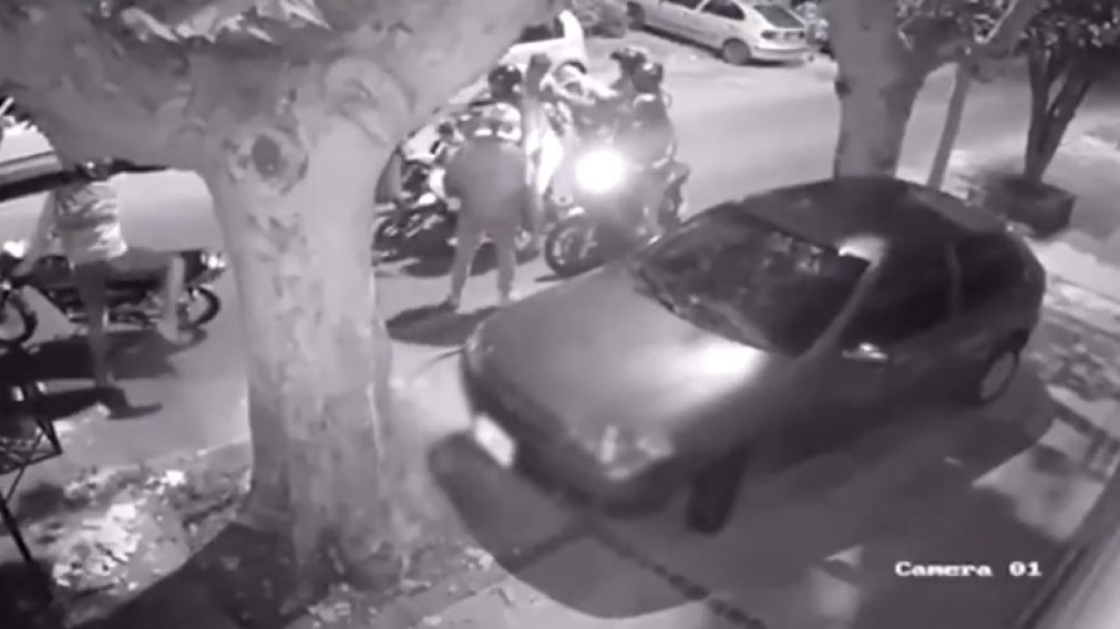 Los sorprendieron en manada.