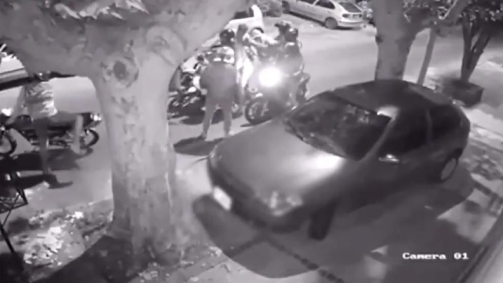 Los sorprendieron en manada.