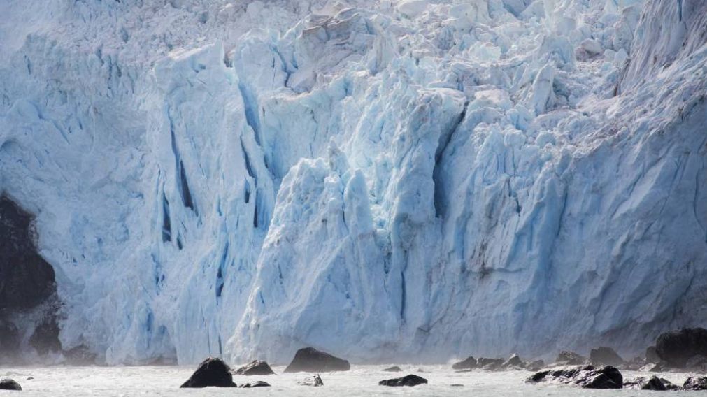 Apareció escalofriante rostro en el hielo de la Antártida.