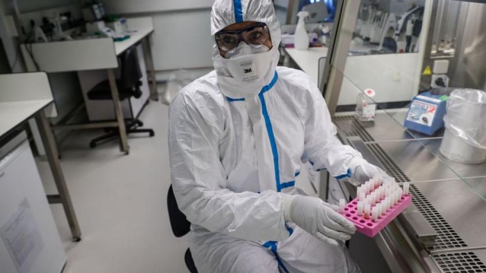 El estudio fue realizado por investigadores españoles.