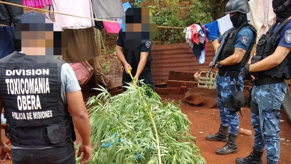 Efectivos de la División de Toxicomanía, en colaboración de la Comisaría local, Divisiones Comando Radioeléctrico Campo Viera e Infantería Zona Centro participaron del procedimiento.