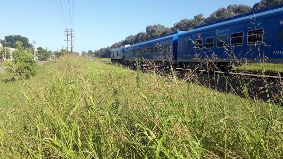 El asesino, acorralado por la policía, se suicidó clavándose un cuchillo en el pecho (Crónica).