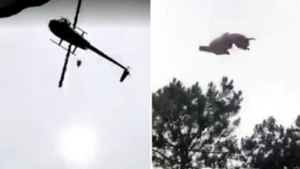 La pol�mica imagen en la que el animal cae desde el helic�ptero