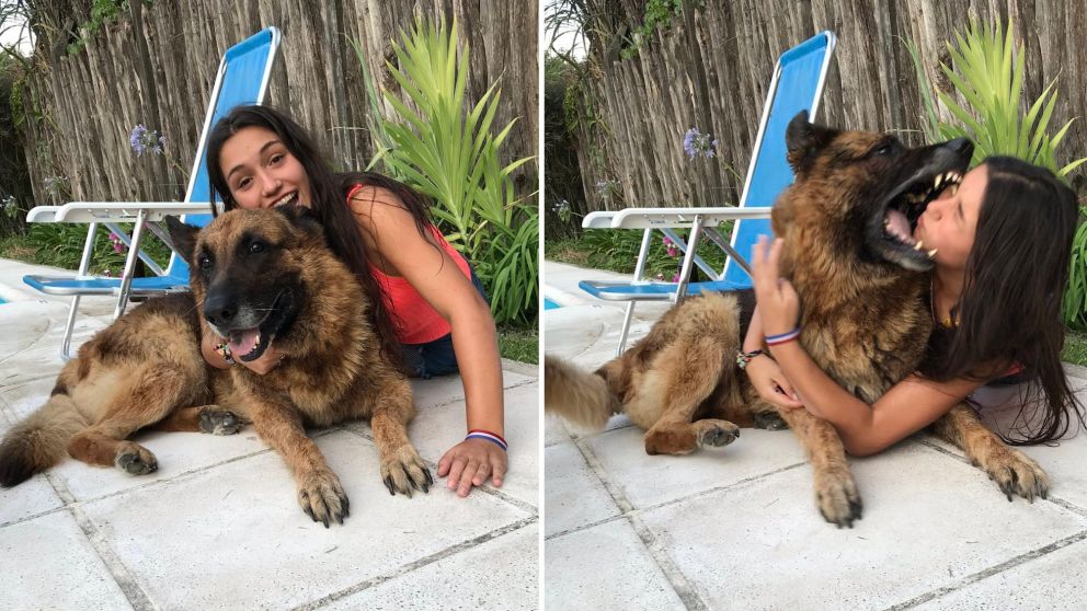 La secuencia en que la chica fue mordida por su perro (Twitter).