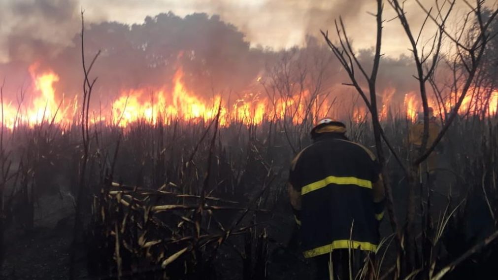 Incendio en la Reserva Ecológica.