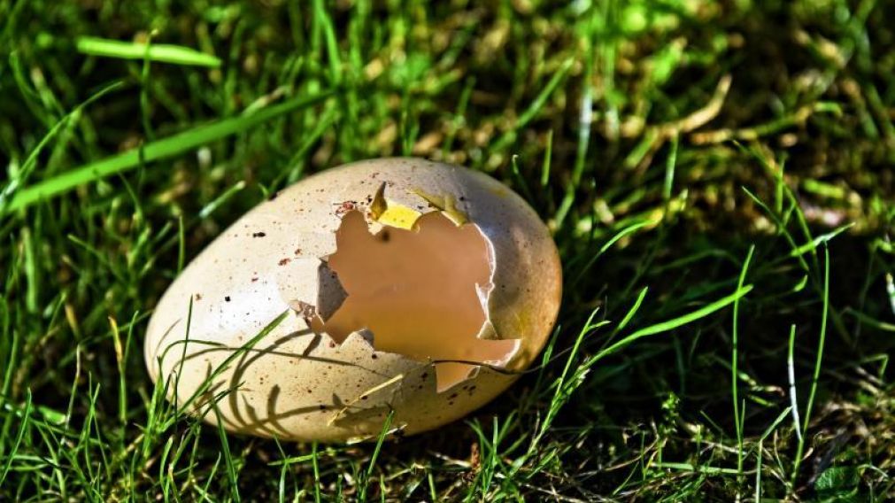 El hombre desarrolló una capa gruesa de calcio como la de los huevos(Imagen ilustrativa).