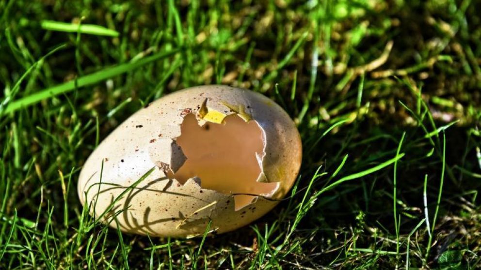 El hombre desarroll� una capa gruesa de calcio como la de los huevos(Imagen ilustrativa).