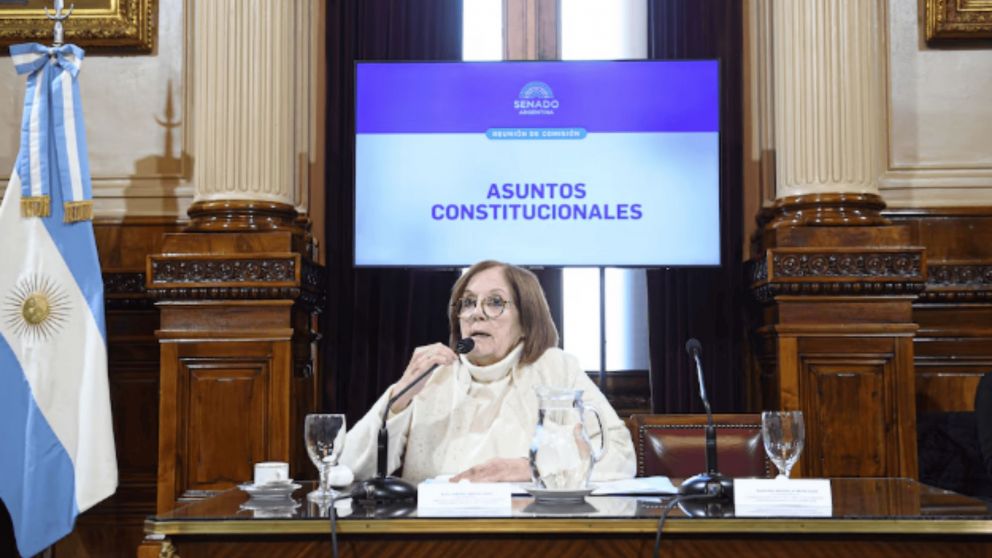 Alejandra Vigo, presidenta de la comisión.