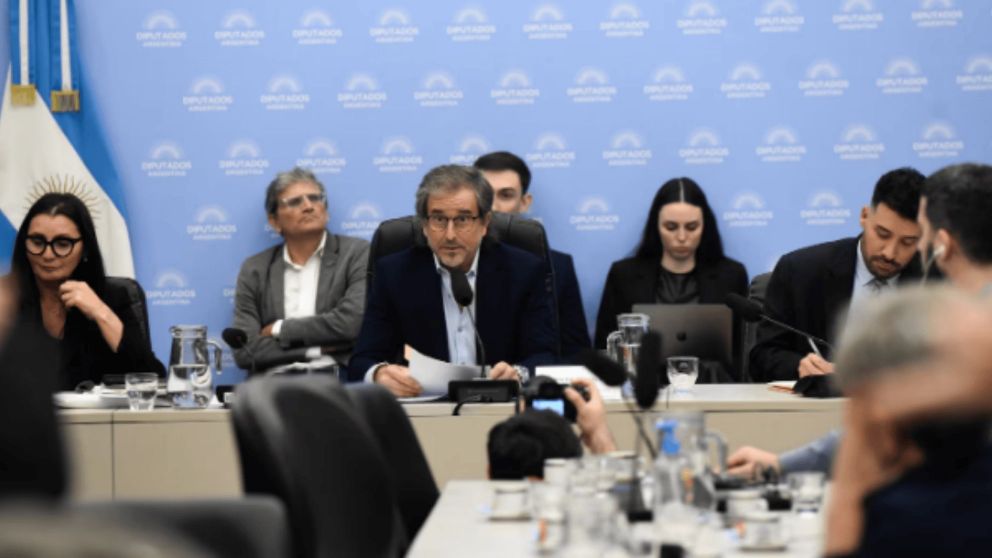 El presidente de la Comisi�n de Presupuesto Bertie Benegas Lynch.