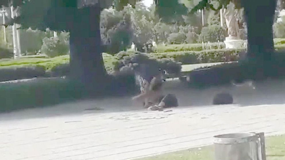 El momento del ataque. (Captura de video).