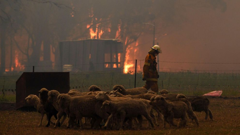 Titánica lucha de los bomberos australianos. (Twitter).