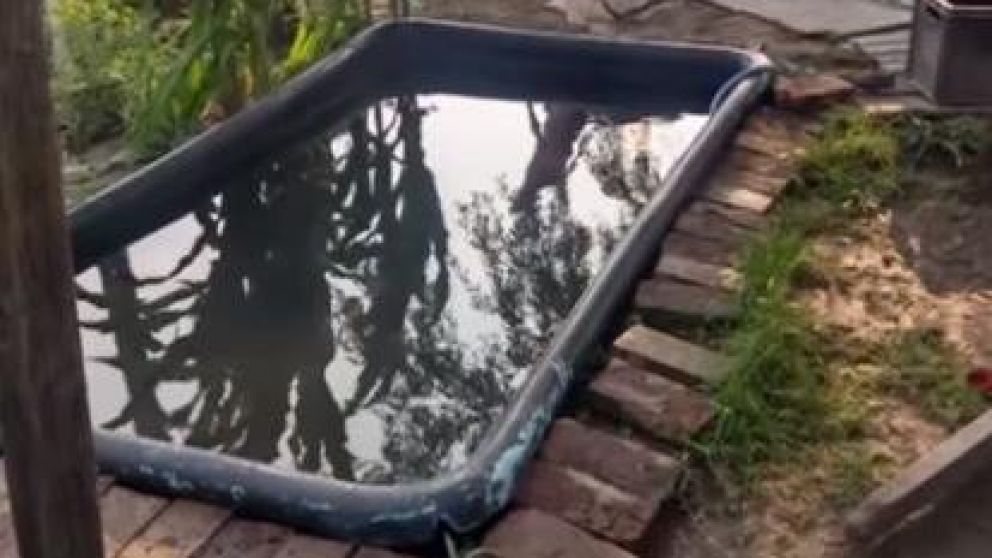 La pileta en la cual ocurrió el episodio.