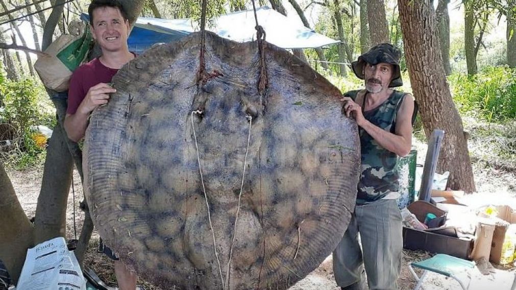 Los pescadores santafecinos posan con el animal que lograron capturar. 