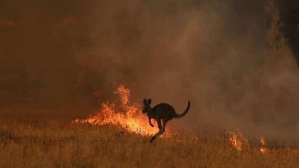 Secuencia triste de la realidad que vive el país oceánico.